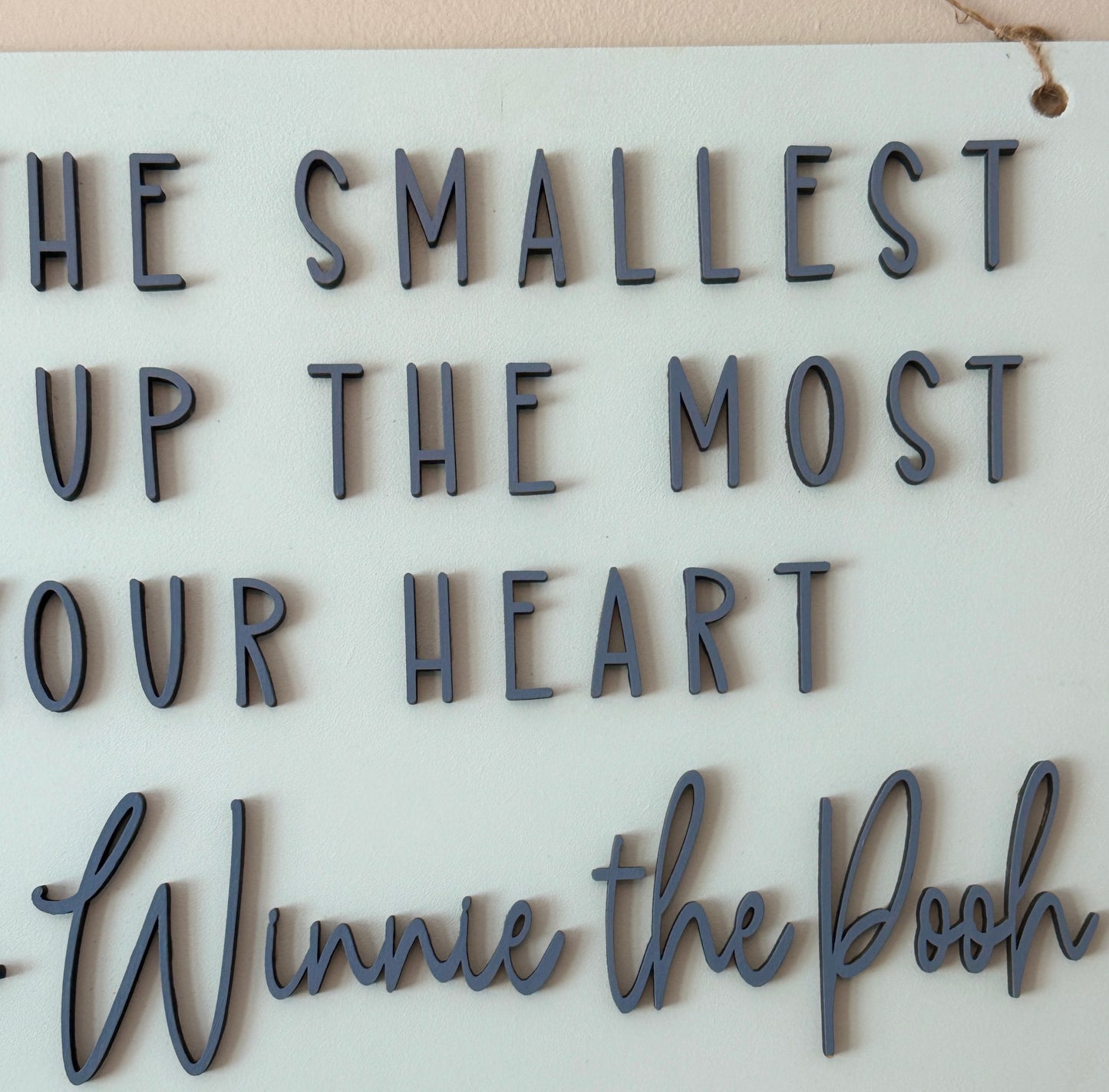 "Sometimes the Smallest Things Take Up the Most Room in Your Heart" – Handmade Wooden Wall Sign